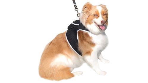 Portable Collar Mount Waterproof GSM GPRS GPS Phone Pet Tracker w/ App Size:XS