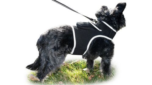 Realtime Rechargeable Surveillance Collar GPS Tracking for Pets Finder Size:XS