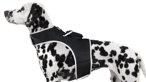 Realtime Pet Tracking Device GPS Pocket Rechargeable Location Tracker Size:XS
