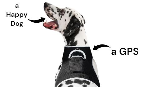 Realtime USB Rechargeable GPS Pet Seeking GSM GPRS Location Finder Sys Size:XS