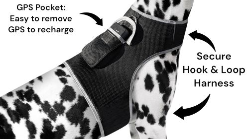 Rechargeable Pocket GPS Mini Cell Phone Pet Tracking Device Waterproof Size:XS