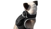 Rechargeable GPS Dog Collar Tracker w/ Live/SMS-Based Tracking System Size:XS
