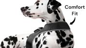 Rechargeable Pocket GPS Mini Cell Phone Pet Tracking Device Waterproof Size:XS