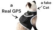 Rechargeable GPS Dog Collar Tracker w/ Live/SMS-Based Tracking System Size:XS