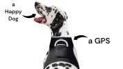 Rechargeable GPS Dog Collar Tracker w/ Live/SMS-Based Tracking System Size:XS