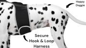 Rechargeable Pocket GPS Mini Cell Phone Pet Tracking Device Waterproof Size:XS