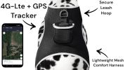 Rechargeable GPS Dog Collar Tracker w/ Live/SMS-Based Tracking System Size:XS