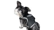 Portable Pet GPS GSM Tracker Rechargeable Wireless Mini Surveillance Size:XS
