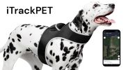 Portable Dog Locator Collar Tracker w/ Android iPhone Compatible Apps Size:XS