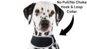 Realtime Pet Tracking Pet Tracker Mini Waterproof Dog GPS Tracker w/ Apps Size:XS