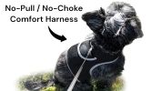 Rechargeable Pocket GPS Mini Cell Phone Pet Tracking Device Waterproof Size:XS