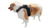 Portable Collar Mount Waterproof GSM GPRS GPS Phone Pet Tracker w/ App Size:XS