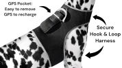 Portable Collar Mount Waterproof GSM GPRS GPS Phone Pet Tracker w/ App Size:XS